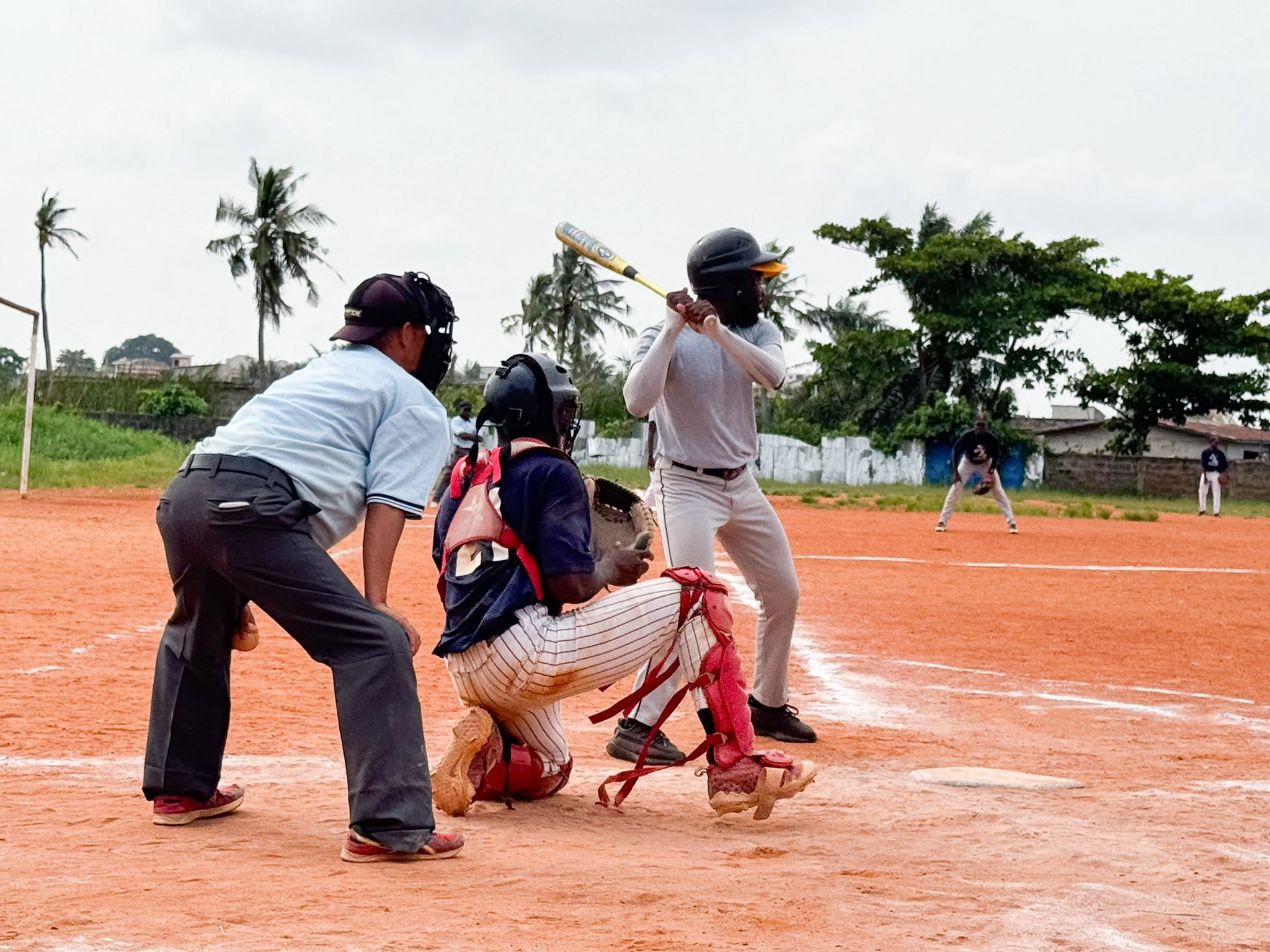 Fédération béninoise de Baseball et Softball : le processus électoral est lancé pour le renouvellement du comité exécutif